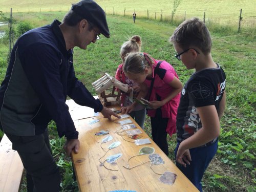 Narozeniny mokřadů - 24.6.2018