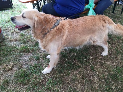 Narozeniny mokřadů - 24.6.2018