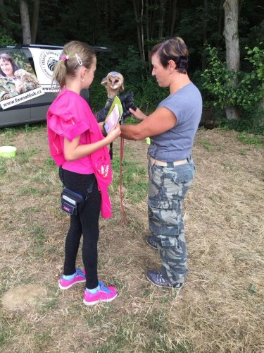 Narozeniny mokřadů - 24.6.2018