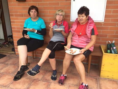 Sokolové na Třeboňsku - 12.7.2018