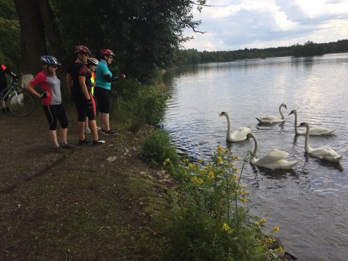 Sokolové na Třeboňsku - 12.7.2018
