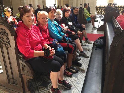 Sokolové na Třeboňsku - 12.7.2018