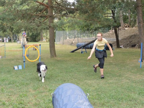 Den mikroregionu v Amfíku - 11.8.2018