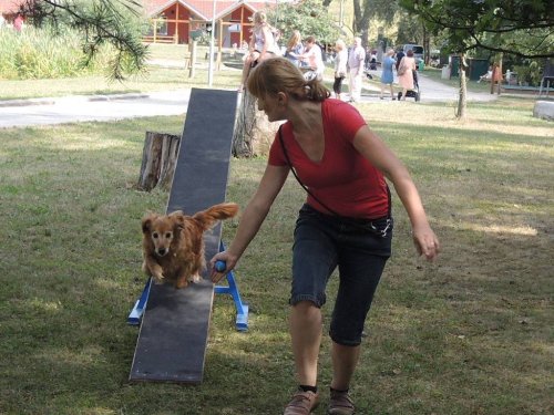 Den mikroregionu v Amfíku - 11.8.2018