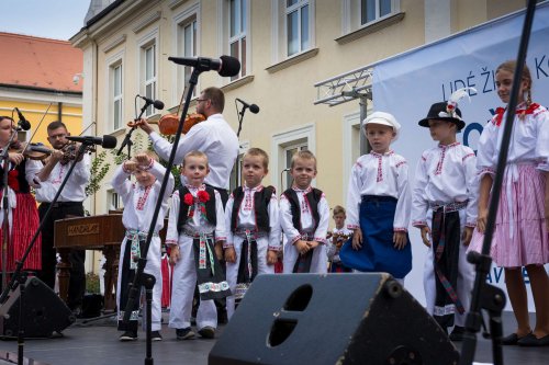 Slavnosti vína v Uherském Hradišti - 8.9.2018