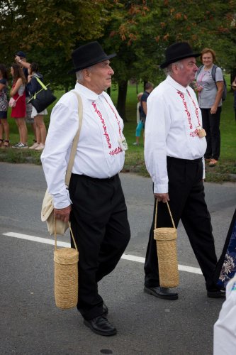 Slavnosti vína v Uherském Hradišti - 8.9.2018