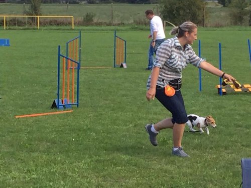 Sokolský sportovní den - 15.9.2018