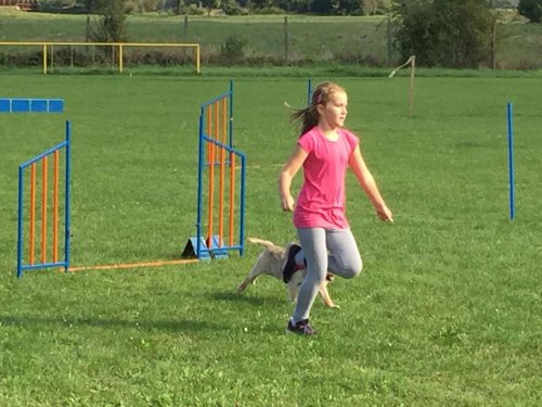 Sokolský sportovní den - 15.9.2018