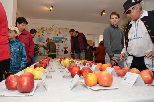 Hodové slavnosti v Podolí - 20.10.2018