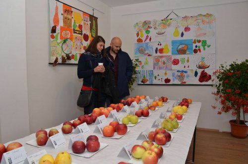 Hodové slavnosti v Podolí - 20.10.2018