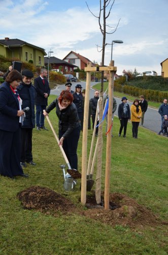 Oslavy 100 let republiky - 28.10.2018