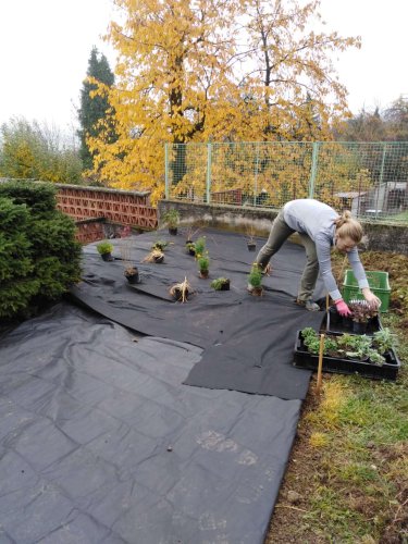 Brigáda v mateřské školce - 3.11.2018