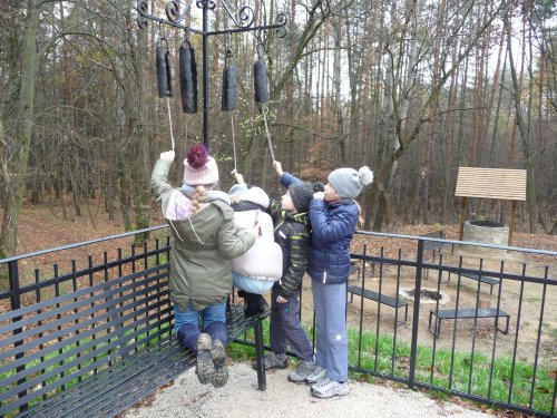 Sokolíci na vycházce - 24.11.2018