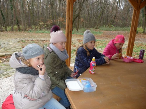 Sokolíci na vycházce - 24.11.2018