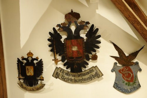 Sokolíci na vycházce - 24.11.2018