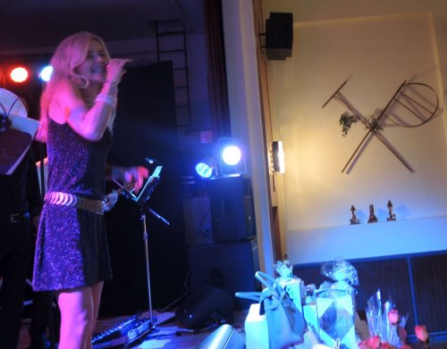 První obecní ples - 18.1.2019