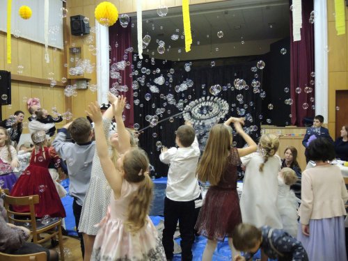 Soubor /2019-01-20-detsky-ples-26.jpg