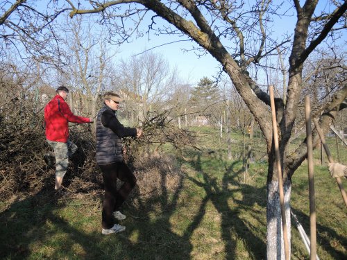 Brigáda zahrádkářů v zahradě školy - 31.3.2019