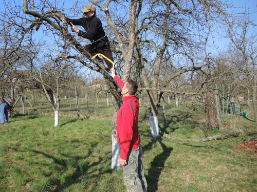 Brigáda zahrádkářů v zahradě školy - 31.3.2019