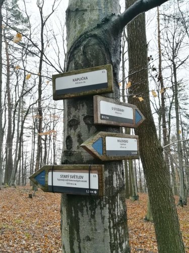 Výlet Sokolů za tajemstvím Starého Světlova - 6.4.2019