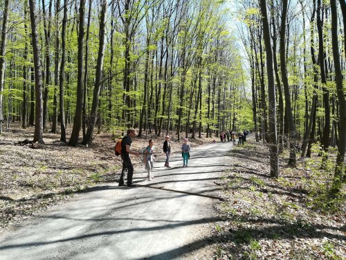 Sokolská vycházka dětí kolem Buchlova - 19.4.2019