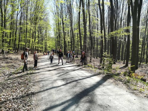 Sokolská vycházka dětí kolem Buchlova - 19.4.2019