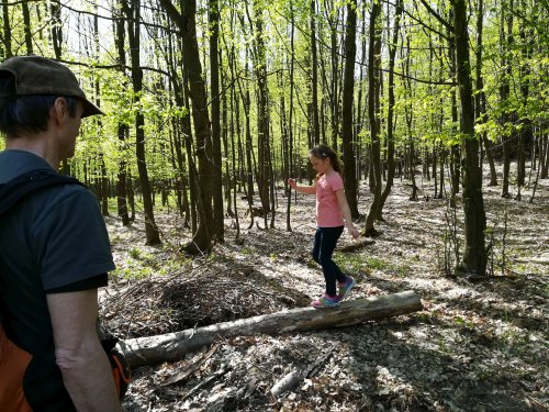 Sokolská vycházka dětí kolem Buchlova - 19.4.2019