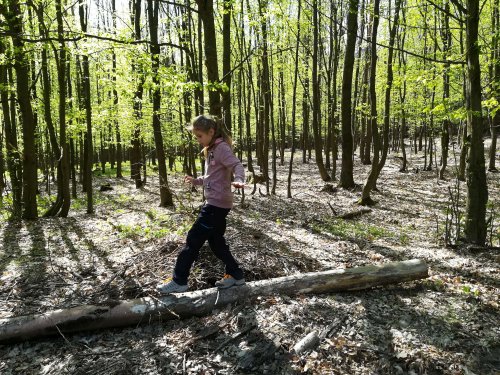Sokolská vycházka dětí kolem Buchlova - 19.4.2019