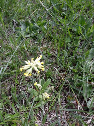 Autobusový zájezd na Vršatec - 11.5.2019