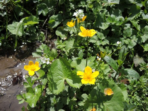 Autobusový zájezd na Vršatec - 11.5.2019
