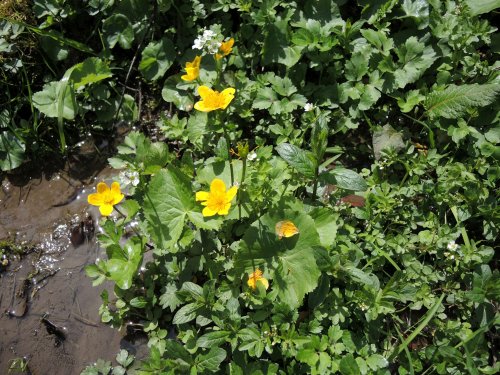 Autobusový zájezd na Vršatec - 11.5.2019
