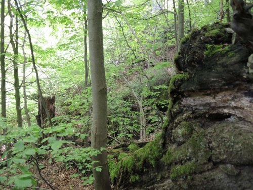 Autobusový zájezd na Vršatec - 11.5.2019