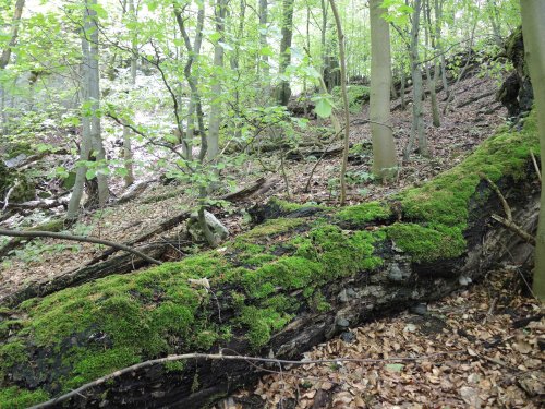 Autobusový zájezd na Vršatec - 11.5.2019