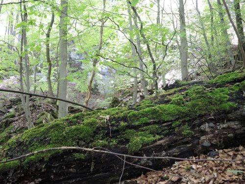 Autobusový zájezd na Vršatec - 11.5.2019