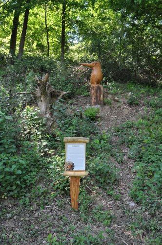 Dětský den - 1.6.2019