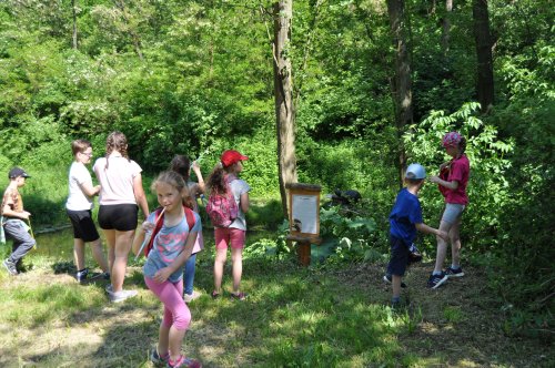 Dětský den - 1.6.2019