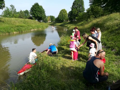 Malí sokoli na vodě - 10.6.2019