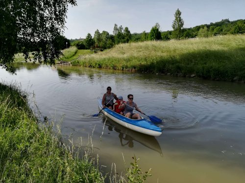 Malí sokoli na vodě - 10.6.2019