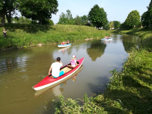 Malí sokoli na vodě - 10.6.2019