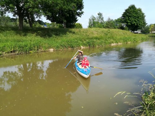 Malí sokoli na vodě - 10.6.2019