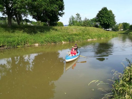 Malí sokoli na vodě - 10.6.2019