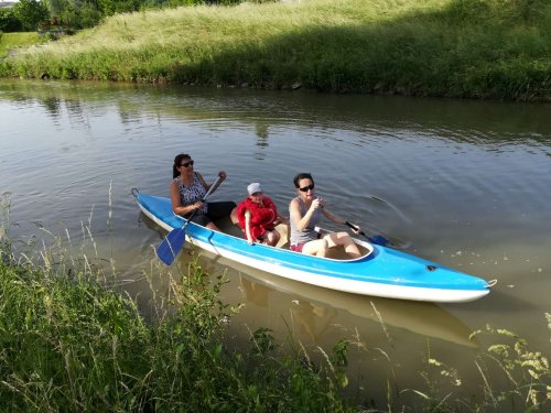 Malí sokoli na vodě - 10.6.2019