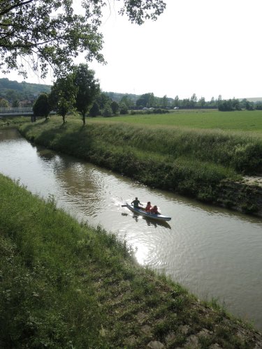 Malí sokoli na vodě - 10.6.2019