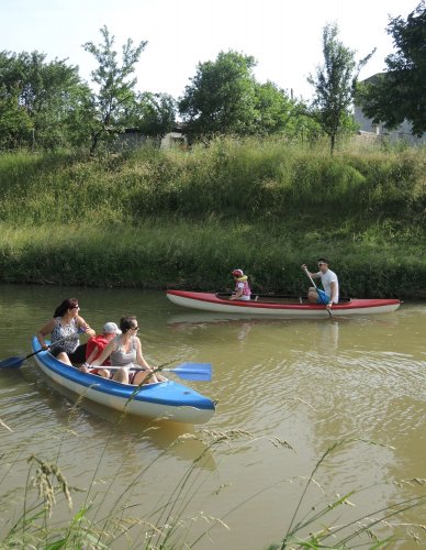 Malí sokoli na vodě - 10.6.2019