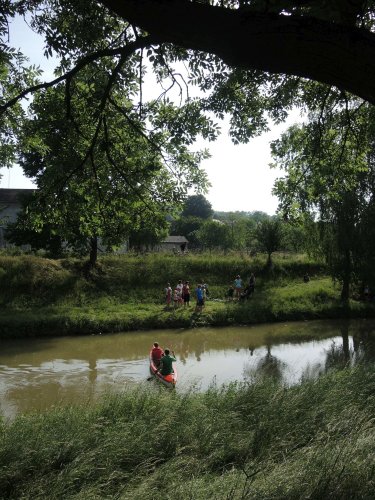 Malí sokoli na vodě - 10.6.2019