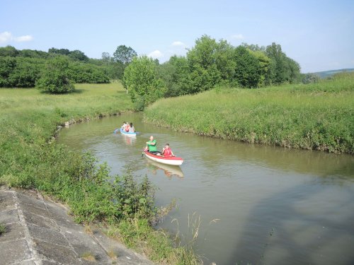 Malí sokoli na vodě - 10.6.2019