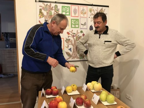 Hody v Podolí - 19.10.2019