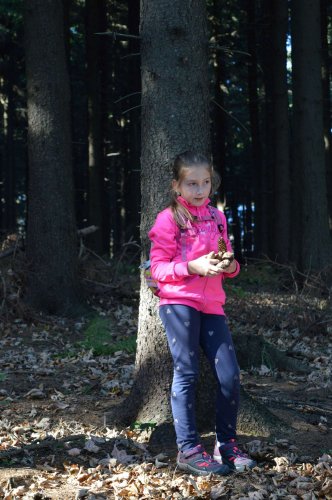 Sokolská procházka na Velký Lopeník - 27.10.2019