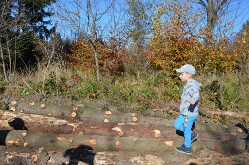 Sokolská procházka na Velký Lopeník - 27.10.2019