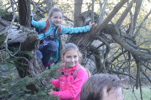 Sokolská procházka na Velký Lopeník - 27.10.2019